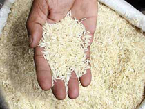 انبارهای برنج یکی پس از دیگری پلمب می شود